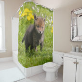 かわいく柔らかいアカギツネのカブスの野生のベビー動物、たらい シャワーカーテン (インサイチュ)