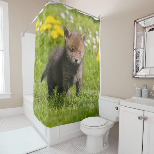 かわいく柔らかいアカギツネのカブスの野生のベビー動物、たらい シャワーカーテン (インサイチュ)