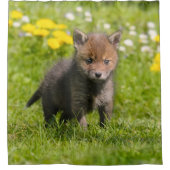 かわいく柔らかいアカギツネのカブスの野生のベビー動物、たらい シャワーカーテン (正面)