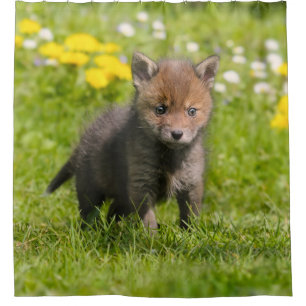かわいく柔らかいアカギツネのカブスの野生のベビー動物、たらい シャワーカーテン