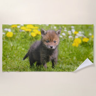 かわいく柔らかいアカギツネのキットのカブスの野生のベビー動物の写真 ビーチタオル