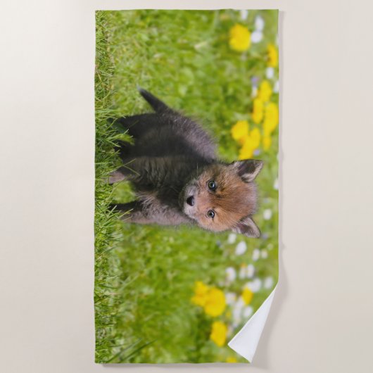 かわいく柔らかいアカギツネのキットのカブスの野生のベビー動物の写真 ビーチタオル (正面)