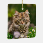 かわいく柔らかいメインのあらいぐまの子ネコ猫の動物の写真* ' * セラミックオーナメント (右)