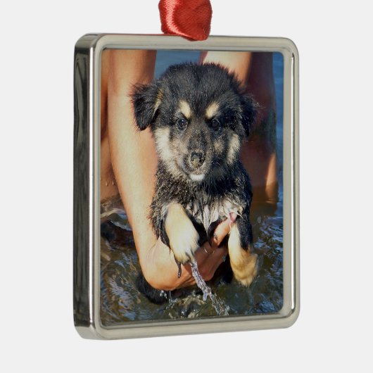 かわいく柔らかい小犬の写真 メタルオーナメント