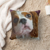 かわいく無頓着なチャールズ王スパニエル犬のクッションの枕 クッション (ブランケット)