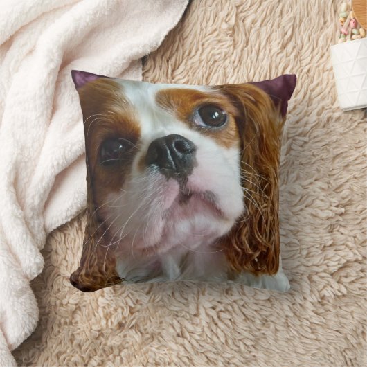 かわいく無頓着なチャールズ王スパニエル犬のクッションの枕 クッション (ブランケット)