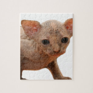 かわいく生まれたばかりのなsphynxの子ネコ ジグソーパズル