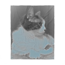 かわいく白いおよび灰色猫のプロフィールの写真