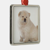 かわいく白いチャウチャウの子犬の小犬 メタルオーナメント (右)
