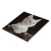 かわいく白い子ネコのポートレート タイル (側面)