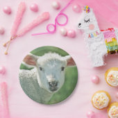 かわいく白い子ヒツジのポートレート ペーパープレート (パーティー)
