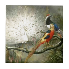 かわいく白い孔雀のカップルのキジのパーティを楽しむこと タイル