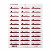 かわいく赤いてんとう虫の差出人住所ラベル ラベル (フルシート)