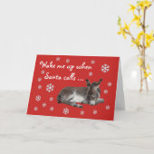 かわいく赤いろばのクリスマス カード (黄色い花)