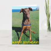 かわいく赤いドーベルマン犬のバースデー・カード カード (正面)