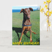 かわいく赤いドーベルマン犬のバースデー・カード カード (黄色い花)