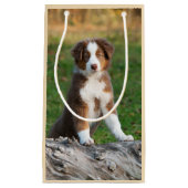 かわいく赤い三オーストラリアの羊飼い犬の子犬の写真- スモールペーパーバッグ (正面)