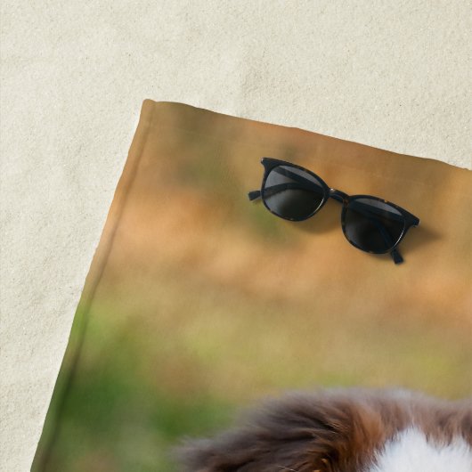 かわいく赤い三オーストラリアの羊飼い犬の子犬の写真/ ビーチタオル (インサイチュ)