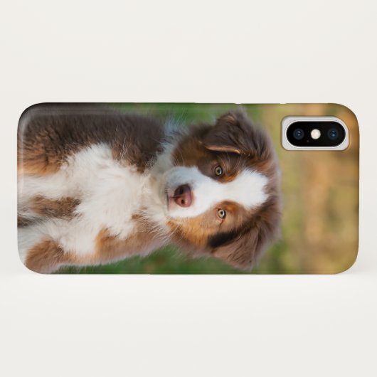 かわいく赤い三オーストラリアの羊飼い犬の子犬の写真。 Case-Mate iPhoneケース (裏面(横))