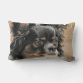 かわいく長い毛のチワワのLumbarの装飾用クッション ランバークッション (裏面)