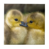 かわいく黄色く柔らかい子ガモ、ベビーのアヒル タイル (正面)