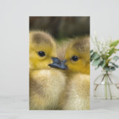かわいく黄色く柔らかい子ガモ、ベビーのアヒル 便箋 (スタンド正面)