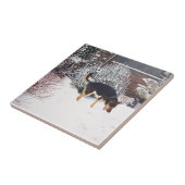 かわいく黒いおよび黄褐色の犬との冬の雪場面 タイル (側面)