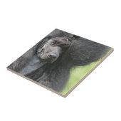 かわいく黒いプードル タイル (側面)