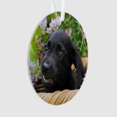 かわいく黒いラブラドル・レトリーバー犬犬の子犬ペット写真 オーナメント (正面)
