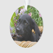 かわいく黒いラブラドル・レトリーバー犬犬の子犬ペット写真 オーナメント (正面)