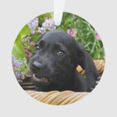 かわいく黒いラブラドル・レトリーバー犬犬の子犬ペット写真 オーナメント (正面)