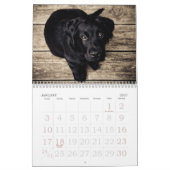 かわいく~はカレンダー行きます子犬2016の行きます カレンダー (1月 2027)