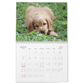 かわいく~はカレンダー行きます子犬2016の行きます カレンダー (3月 2027)
