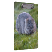 かわいく、愛らしいWombatタスマニアオーストラリア クリップボード (右)