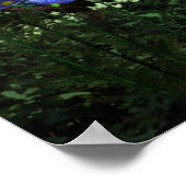 かわいこちゃんアニメキットンウォーターフォールズ1 ポスター (角)