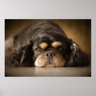 かわいこちゃんキャブ! ポスター