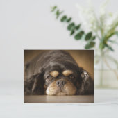 かわいこちゃんキャブ! ポストカード (スタンド正面)