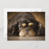 かわいこちゃんキャブ! ポストカード (正面/裏面)