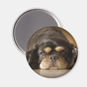 かわいこちゃんキャブ！ マグネット (正面/裏面)