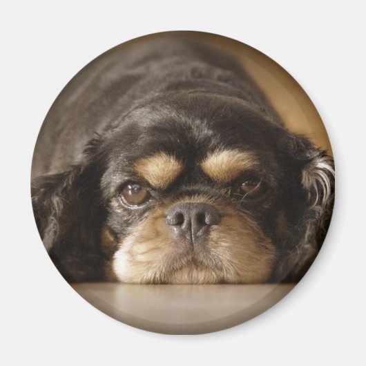 かわいこちゃんキャブ！ マグネット (正面)