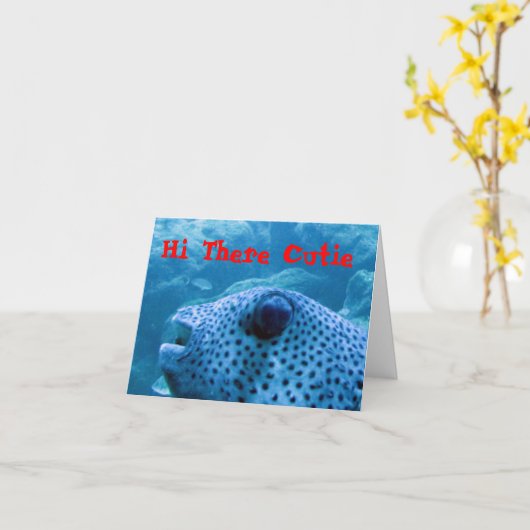 かわいこちゃんフィッシュノートカード カード (黄色い花)