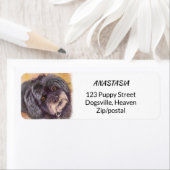 かわいこちゃんブラックのコック・ワン・ミックス ラベル (インサイチュ)