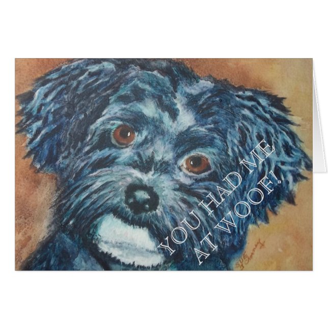 かわいこちゃんブラックハバニーズ (正面横)