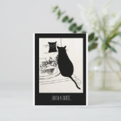 かわいこちゃん猫 ポストカード (スタンド正面)