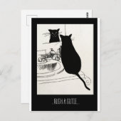 かわいこちゃん猫 ポストカード (正面/裏面)