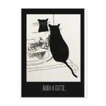 かわいこちゃん猫