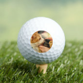 かわいこちゃん ゴルフボール (インサイチュ 木)
