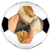 かわいこちゃん サッカーボール (回転)