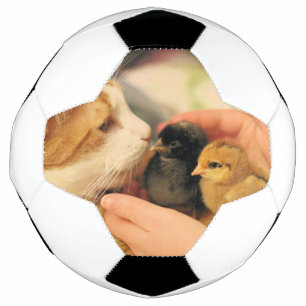 かわいこちゃん サッカーボール