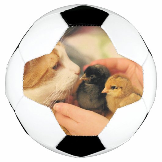 かわいこちゃん サッカーボール (正面)